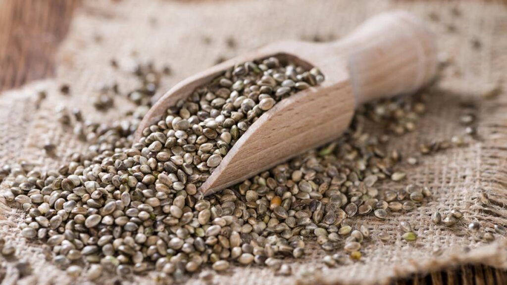 Hemp Seeds guide