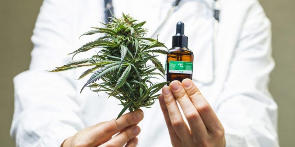 cbdhempcanna