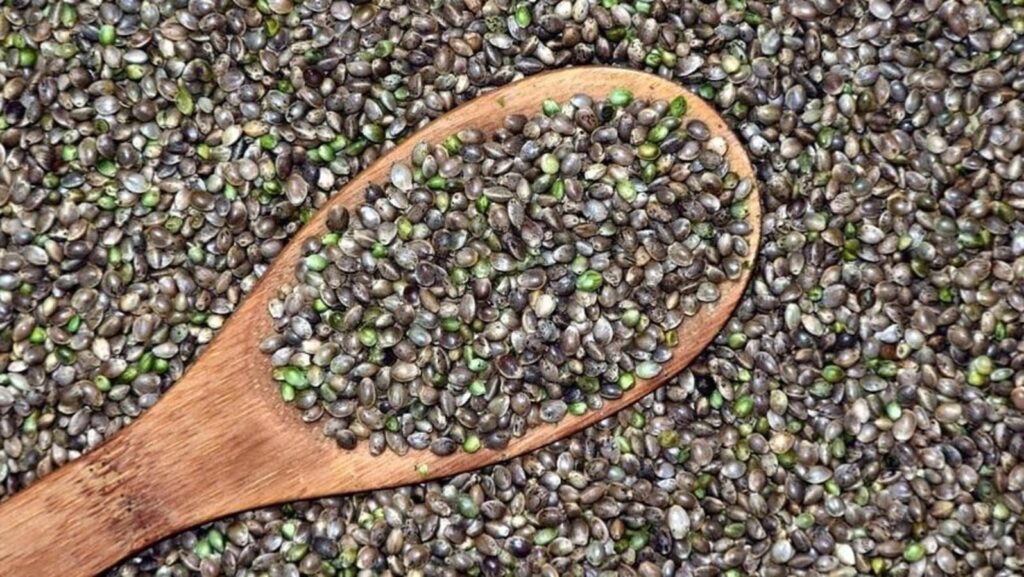 Unveiling the Benefits of Hemp Seeds for Women