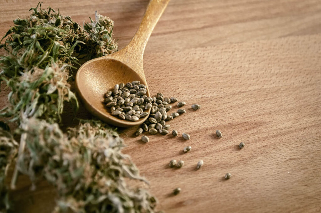 What is Hemp Seed Oil