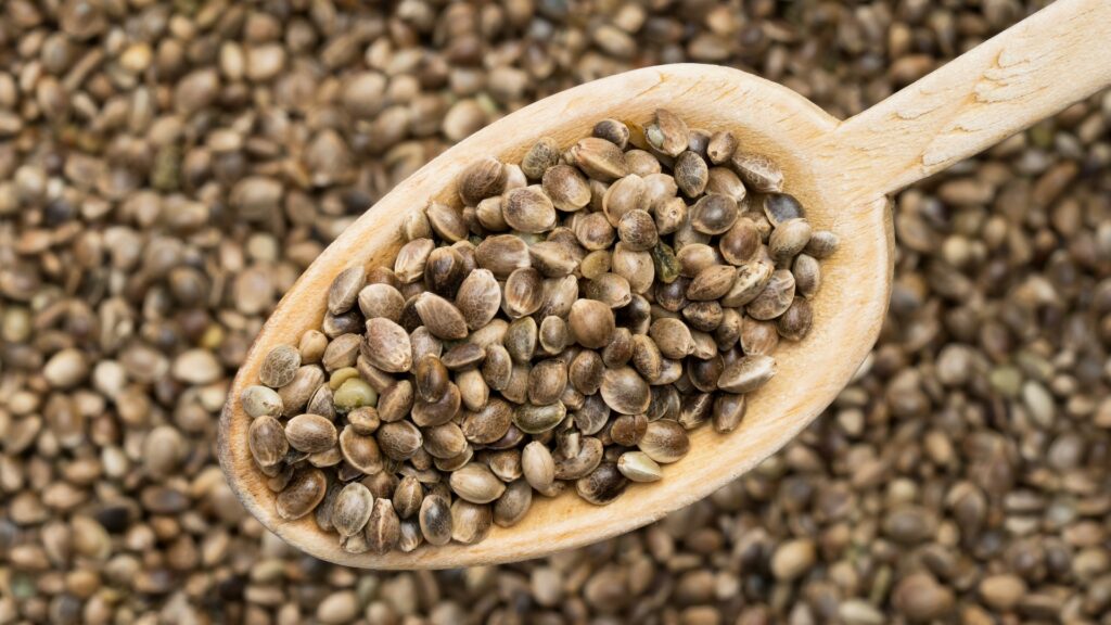 How Hemp Seeds Are Changing the Future of Food and Nutrition