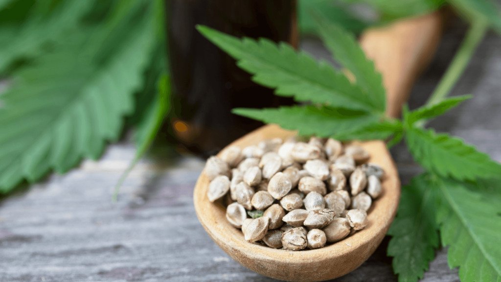 How Hemp Seeds Support Post-Workout Recovery