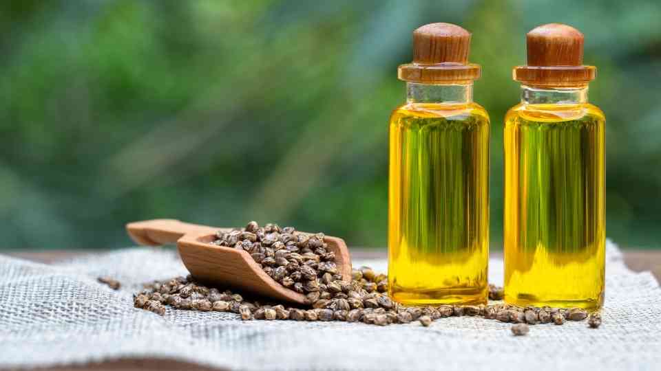 Hemp Seed Oil vs. Hemp Seed Benefits, Uses, and Differences