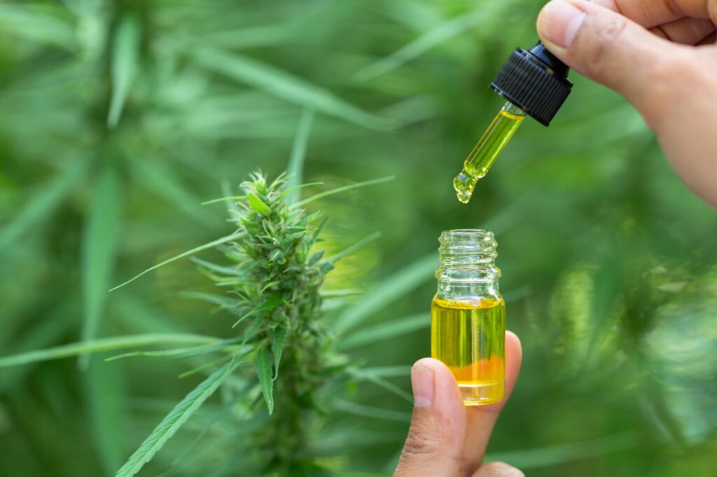 What is Hemp Seed Oil