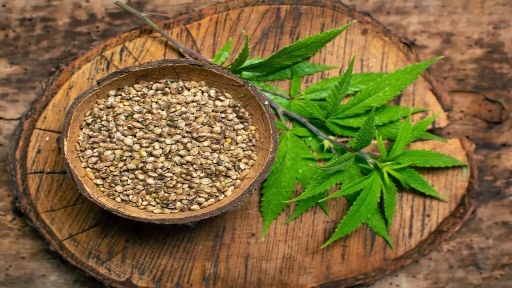 Shelled vs Whole Hemp Seeds Which Should You Buy