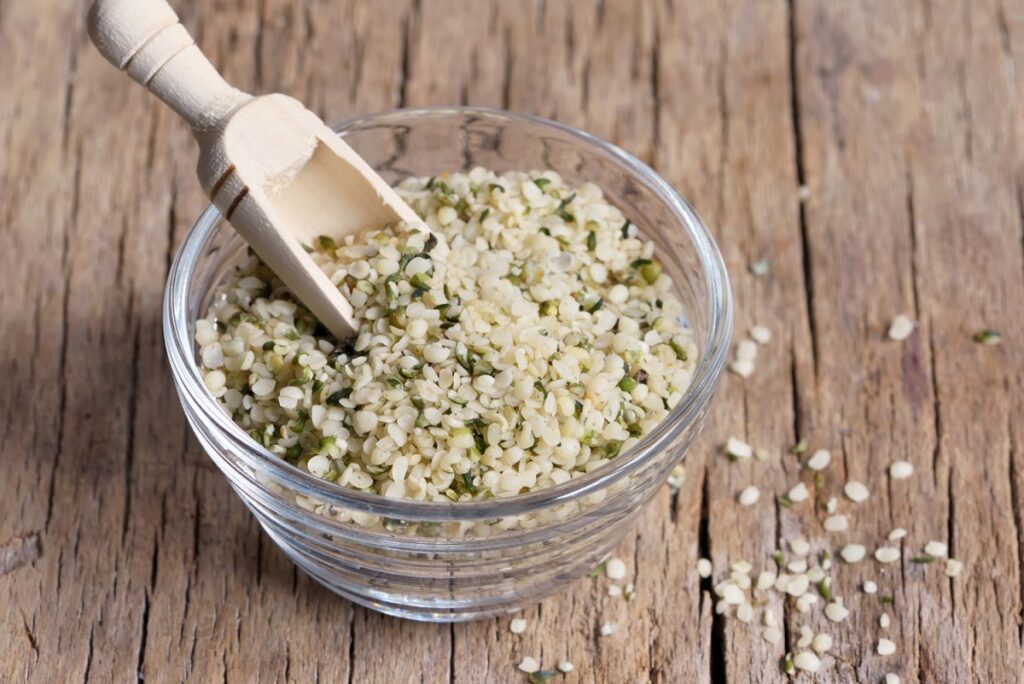 harvesting hemp seeds