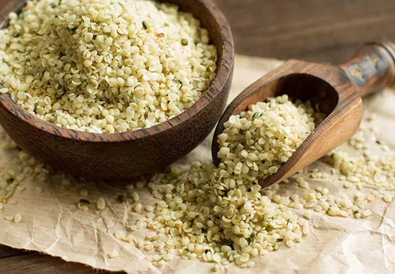 Hemp Plants and Seed Production