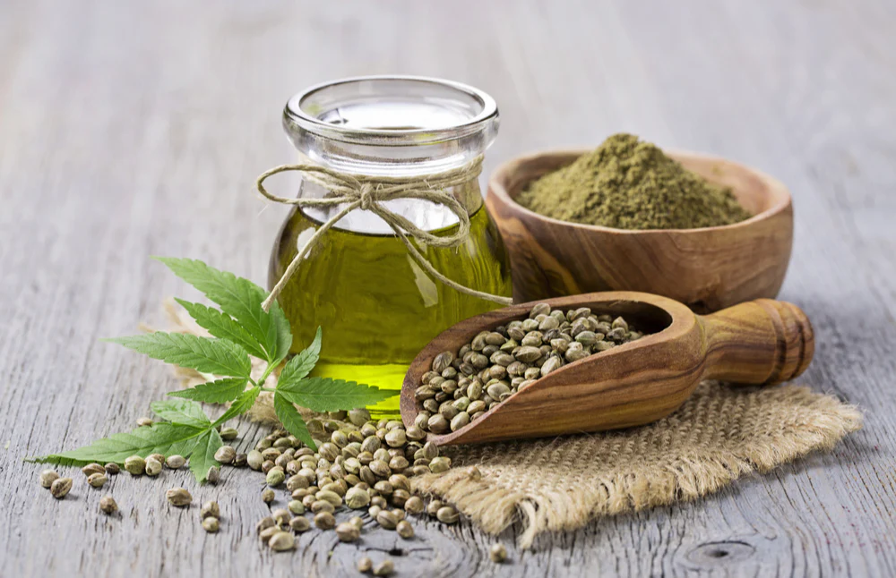 Protein Content of Hemp Seeds